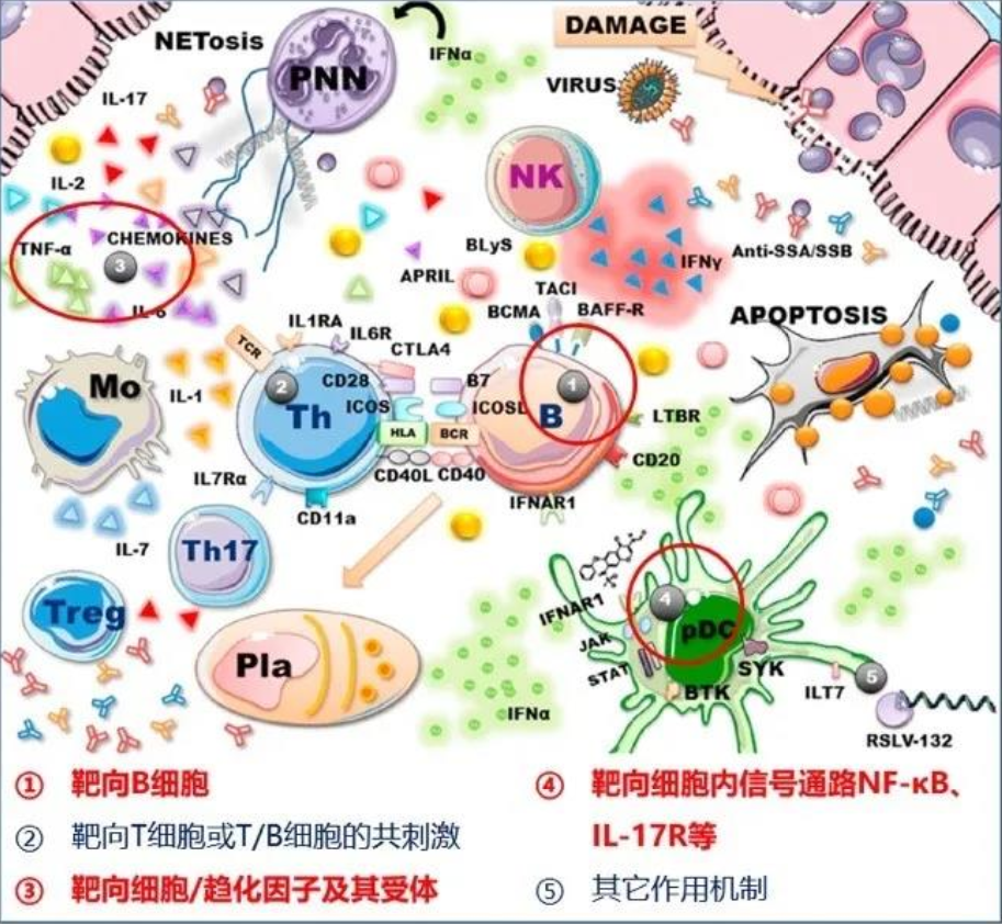 企业微信截图_15995605776794.png 企业微信截图_15995605776794.png