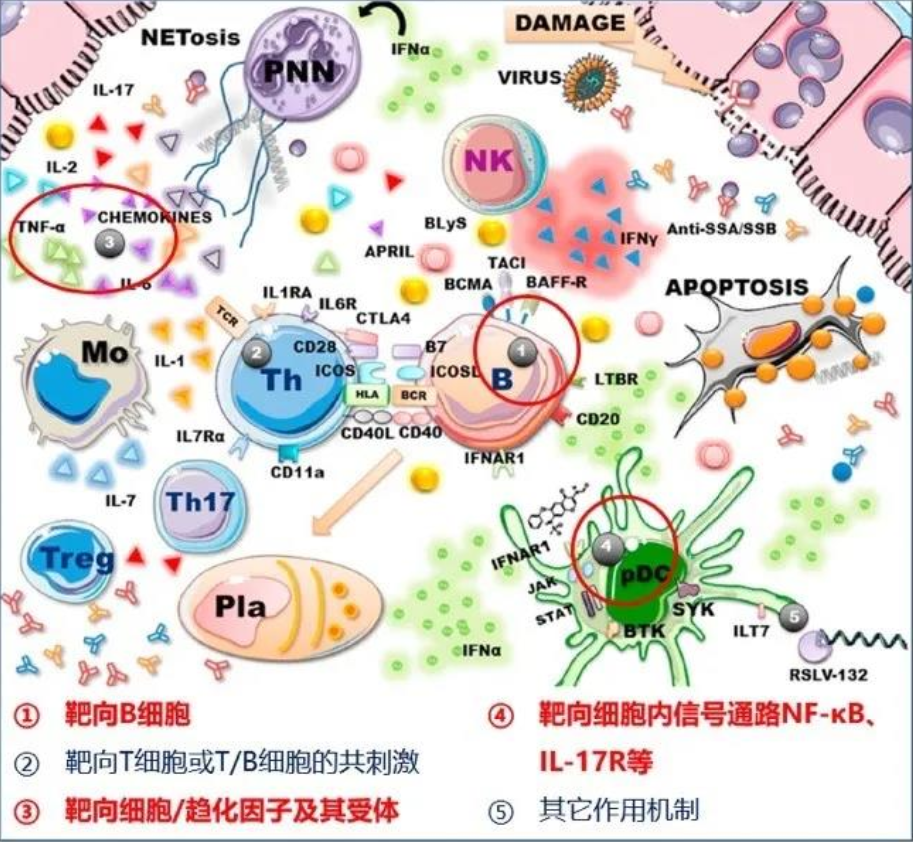 企业微信截图_15995605776794.png