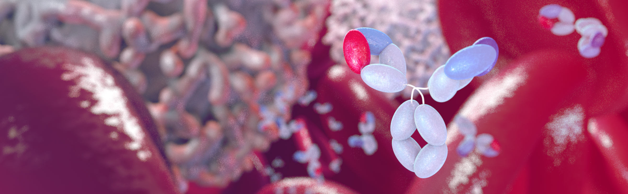 20150904-merus-antibody-image-final.jpg 20150904-merus-antibody-image-final.jpg
