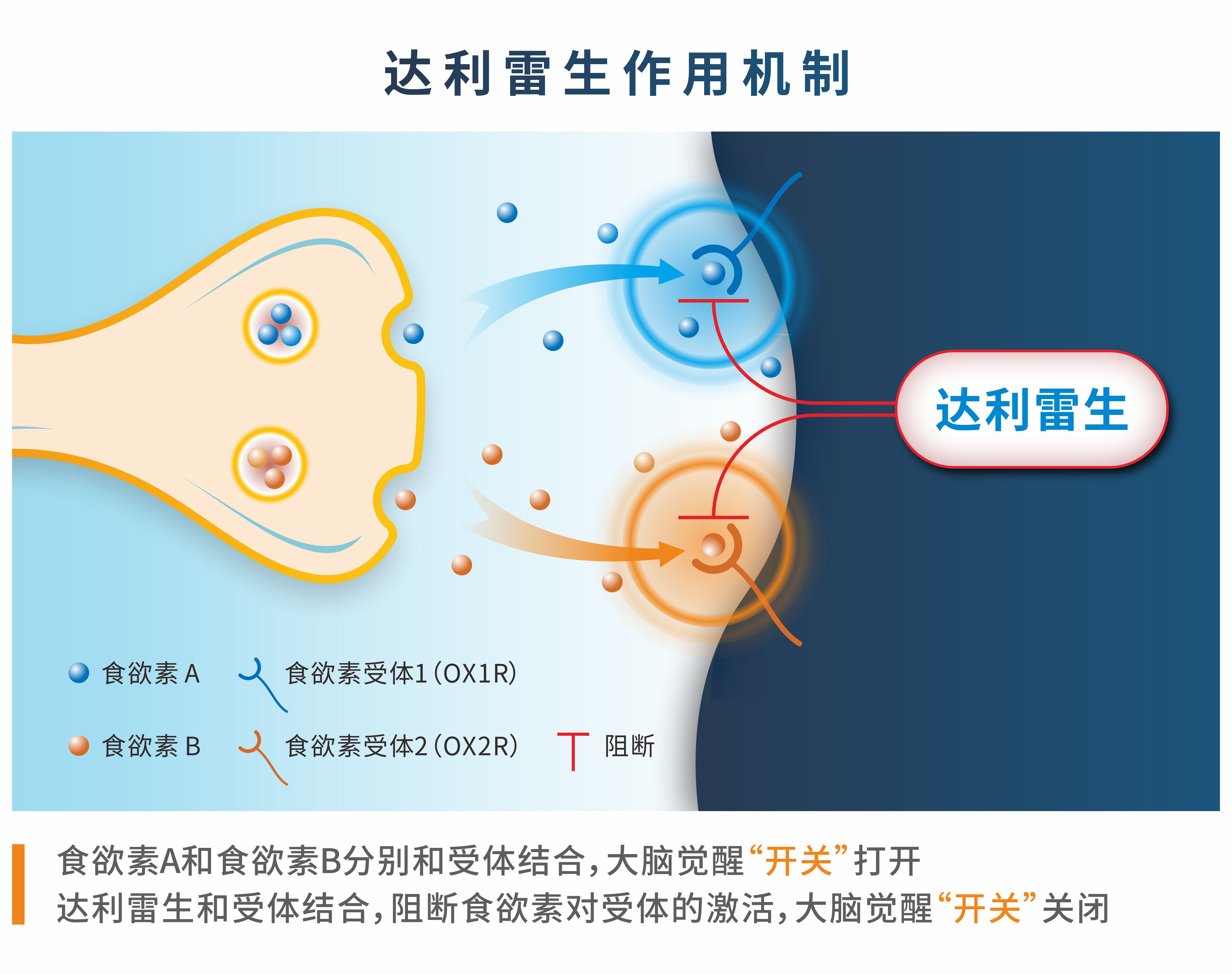 机制图定稿.jpg
